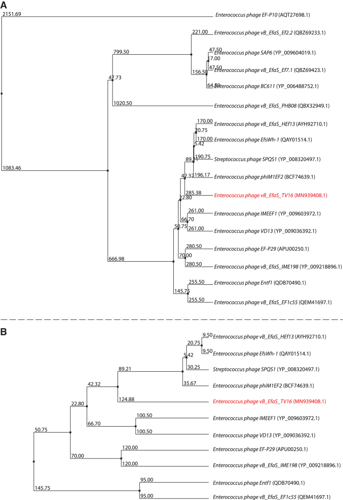 FIG. 6.