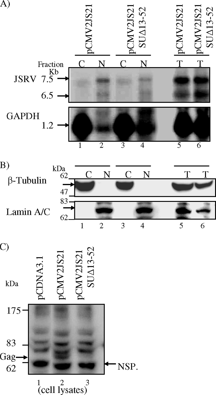 FIG. 9.