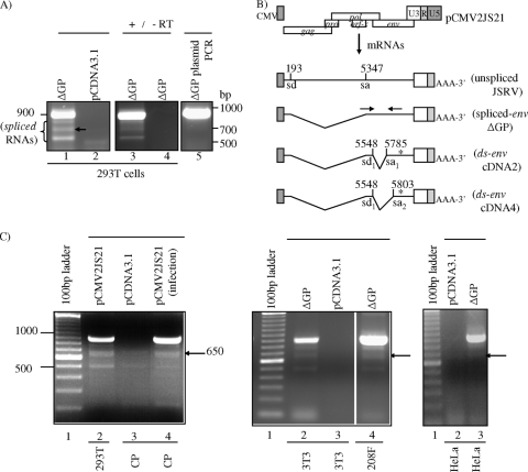 FIG. 4.