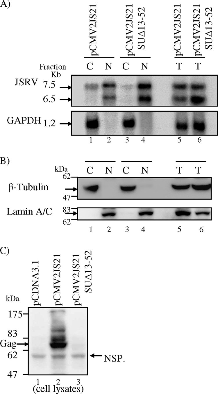 FIG. 7.