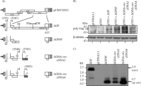 FIG. 5.