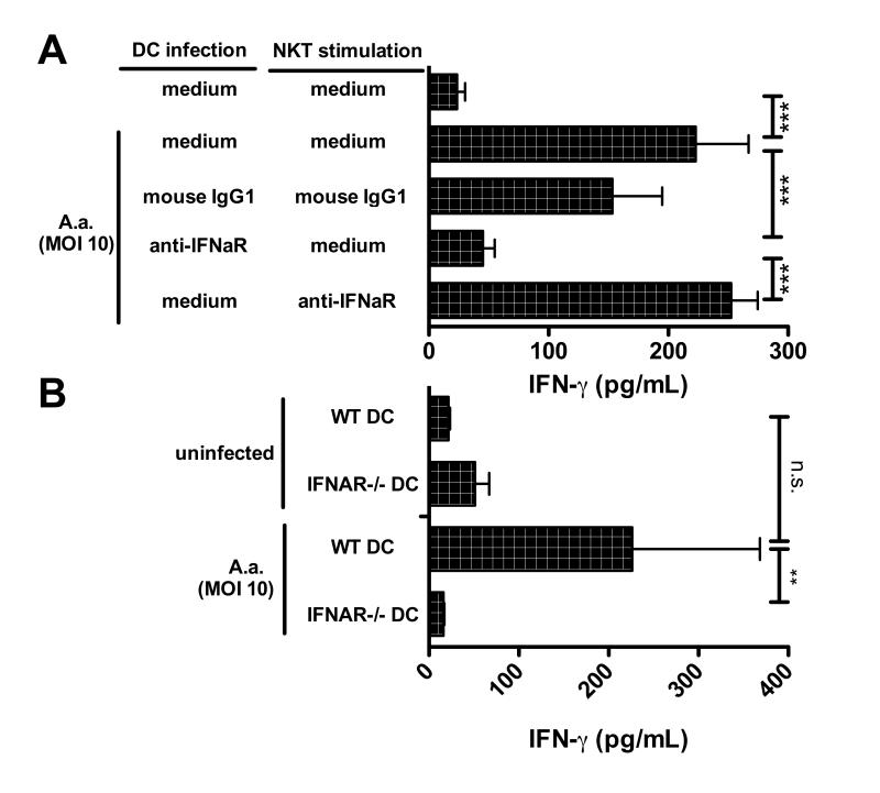 Fig.6