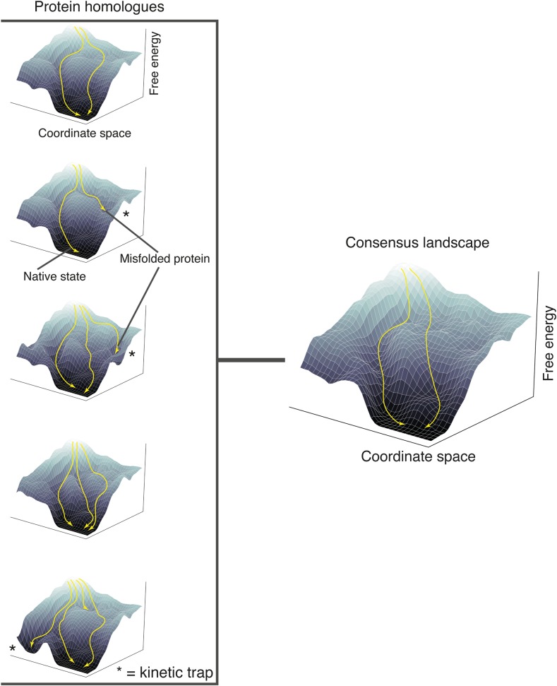 Fig. 2