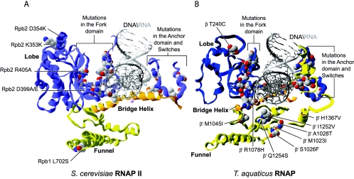 FIG. 7.