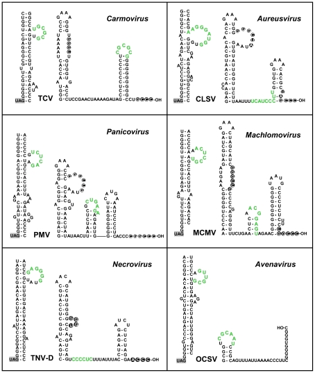 Figure 10