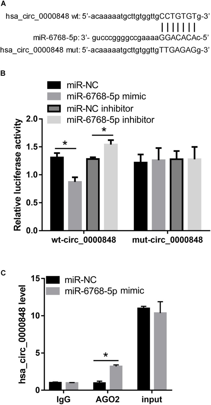 FIGURE 6