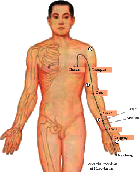 Figure 13