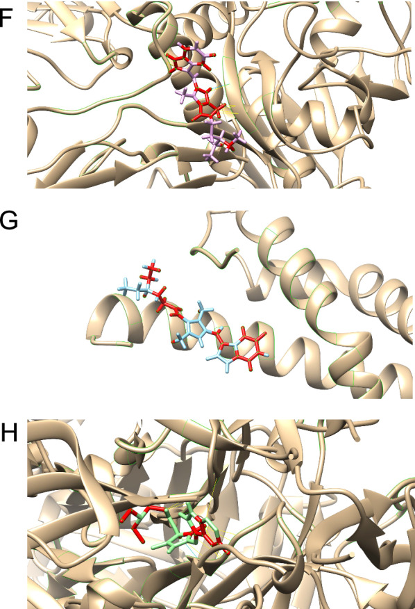 Fig. 7