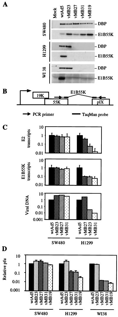 FIG. 4