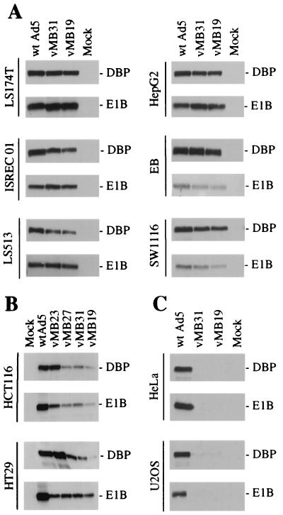 FIG. 6