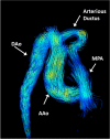 Fig. 20