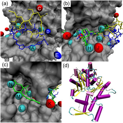 FIGURE 3