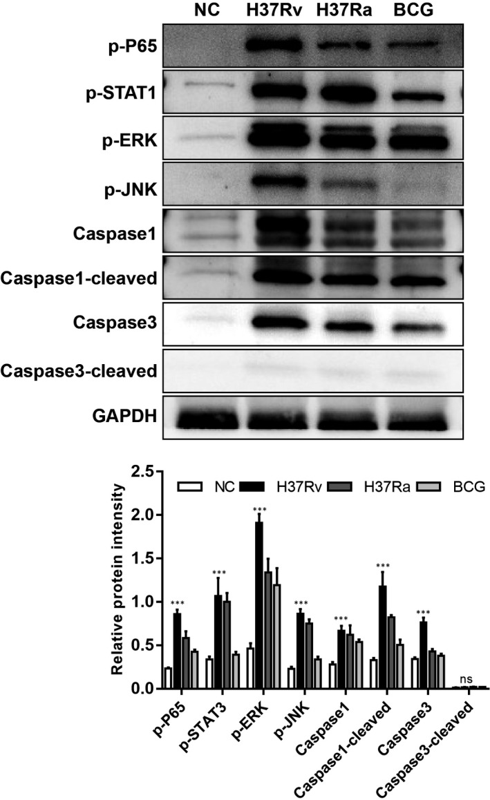 FIGURE 10