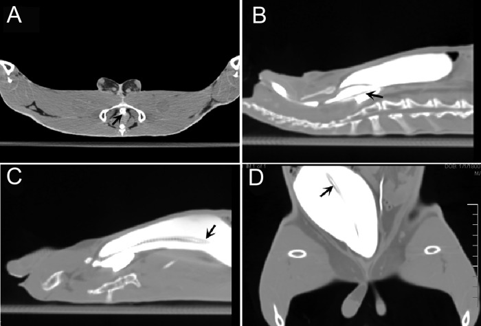 Figure 2.