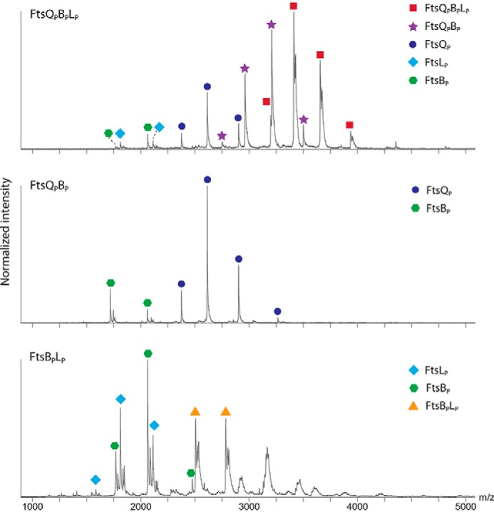 FIGURE 3.