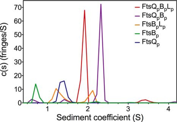 FIGURE 4.