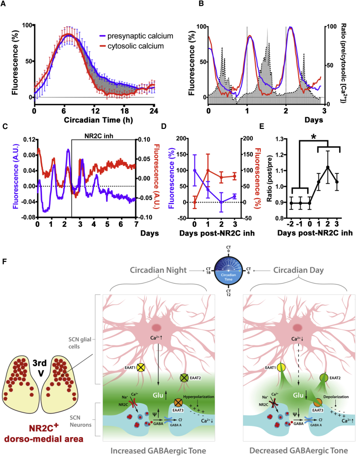 Figure 6