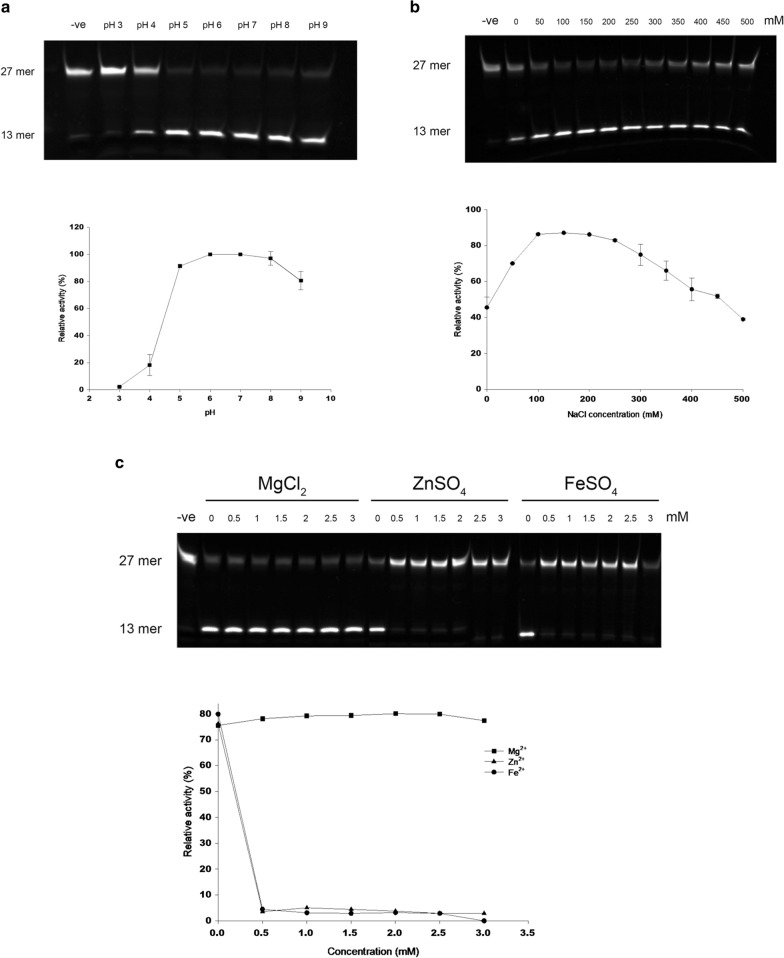 Fig. 6