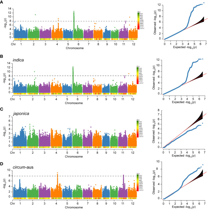 Figure 4