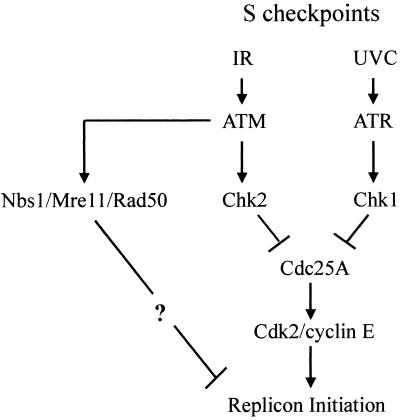 FIG. 8.