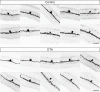 Figure 2—figure supplement 1.
