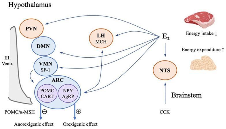 Figure 3.