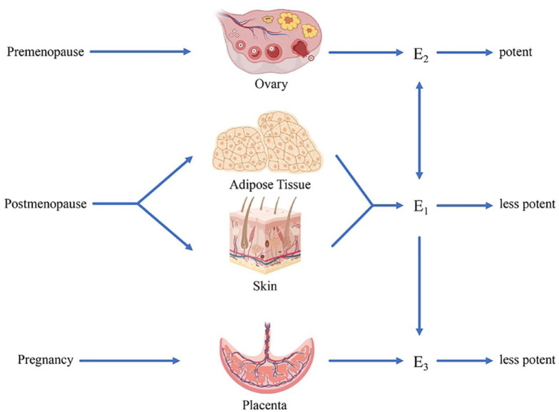 Figure 1.