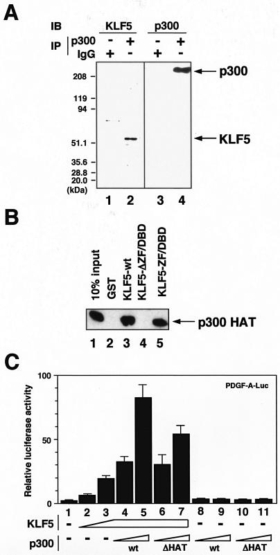 FIG. 5.