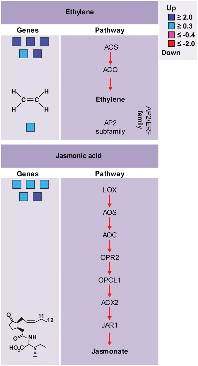 Fig 7