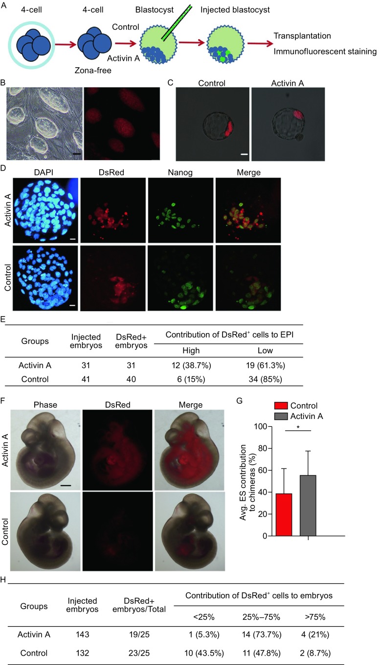 Figure 6