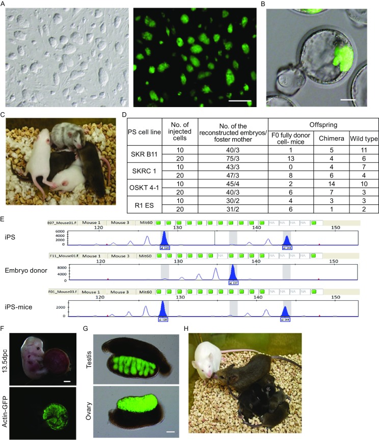 Figure 1