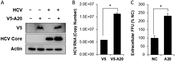 FIG 5