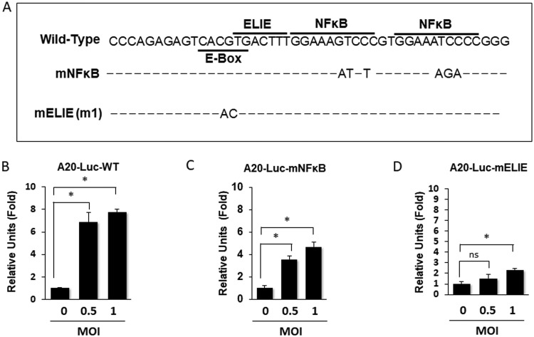 FIG 2