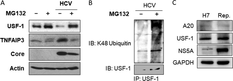 FIG 4