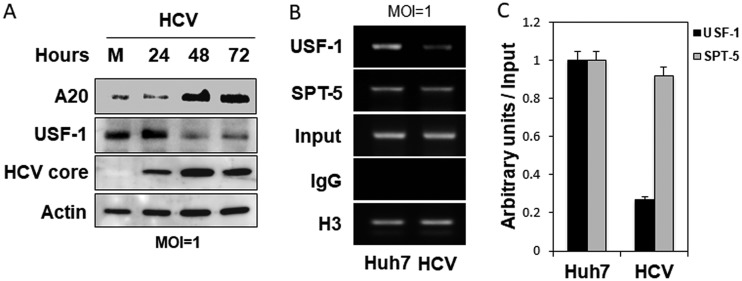 FIG 3