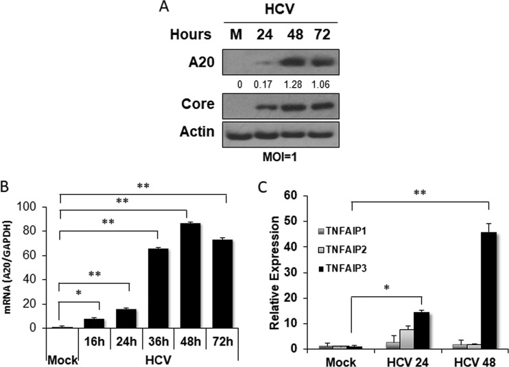 FIG 1