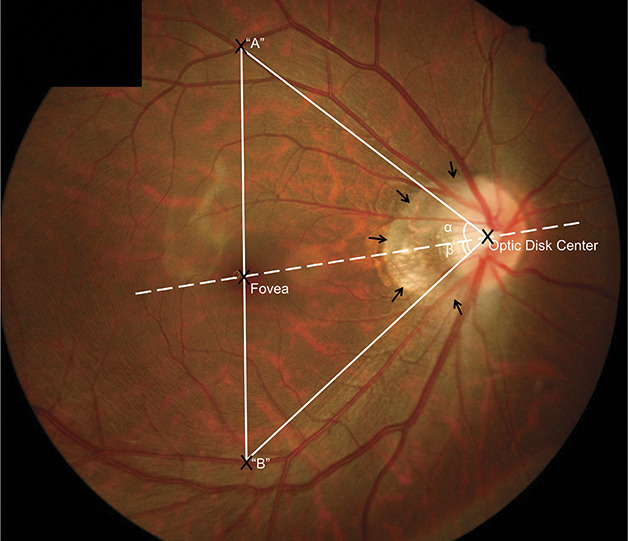 Fig. 1.