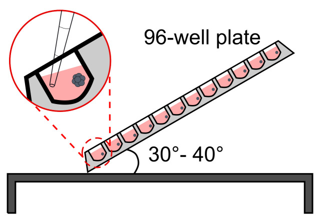 Figure 5.