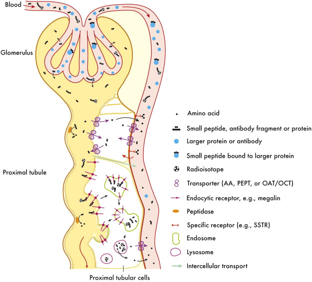 Figure 3