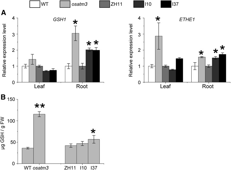 Figure 6.