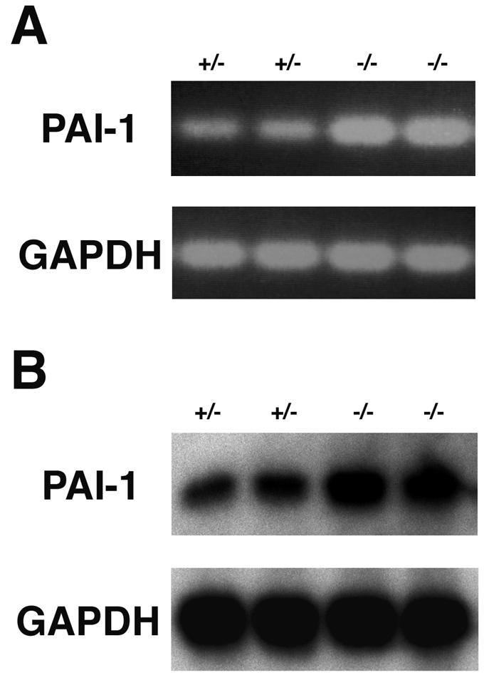 FIG. 7.