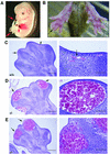 FIG. 8.