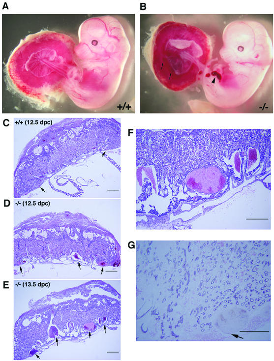 FIG. 5.