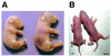 FIG. 3.