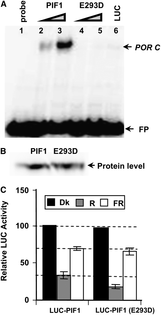 Figure 9.