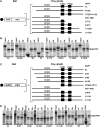 Figure 10.