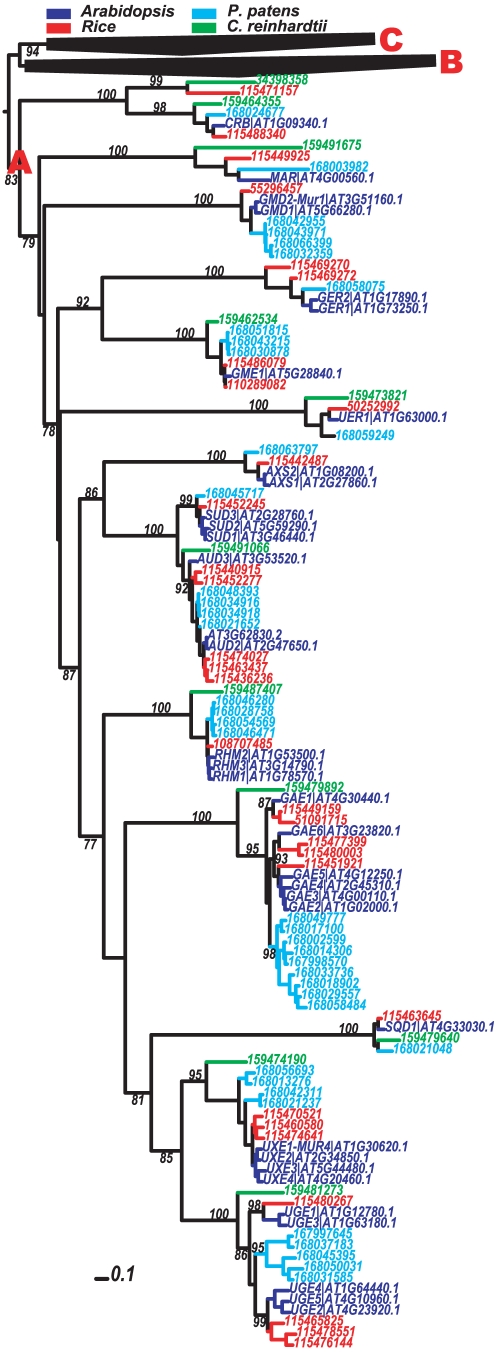 Figure 2: