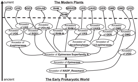 Figure 5: