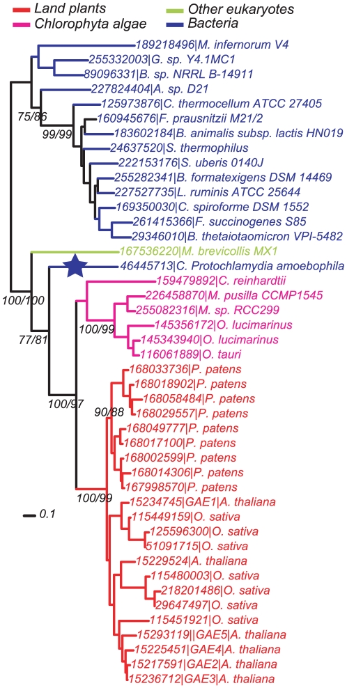 Figure 3: