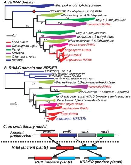 Figure 4: